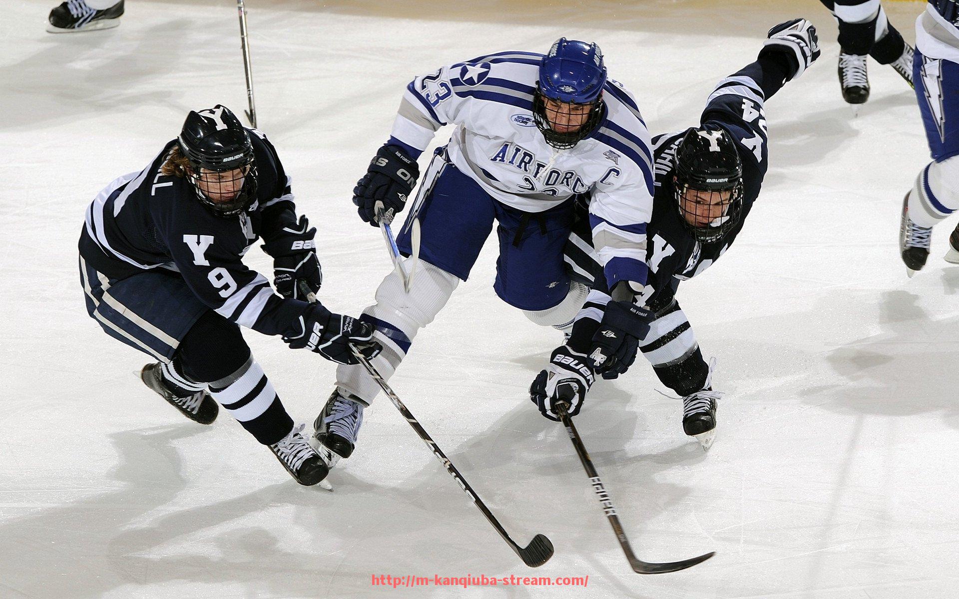 看球吧直播-德甲球队球迷商店的商品与球迷文化